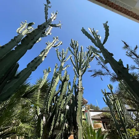 Casa Dieter Apartment *