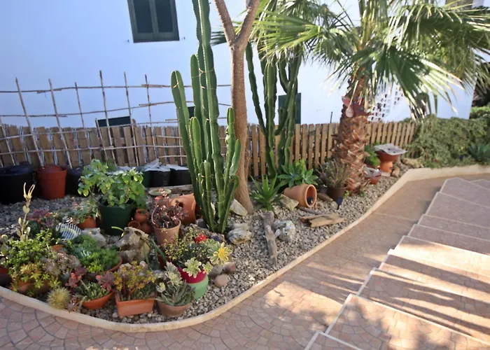 Casa Dieter Appartement