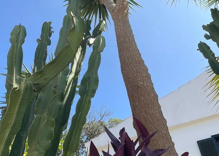 Casa Dieter * Cala Galdana (Menorca)