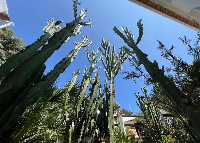 Casa Dieter Appartement *