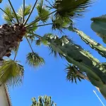 Casa Dieter شقة
