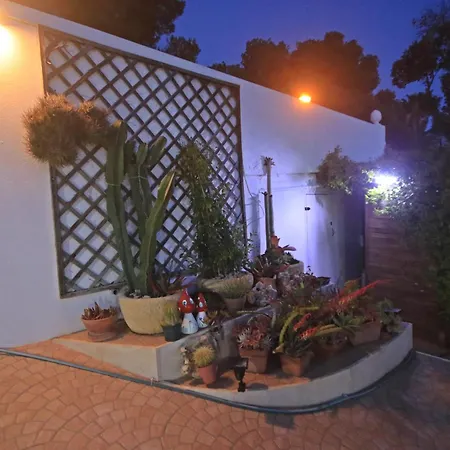 Apartment Casa Dieter