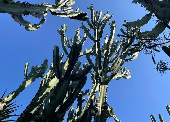 Appartement Casa Dieter *