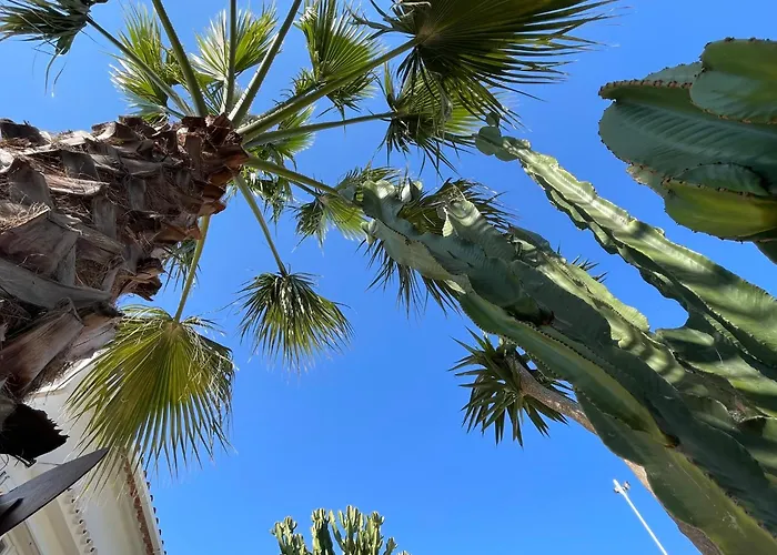 Casa Dieter Appartement